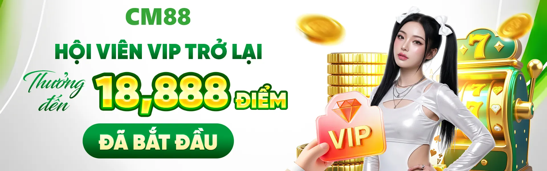 banner cm88 fcrubin